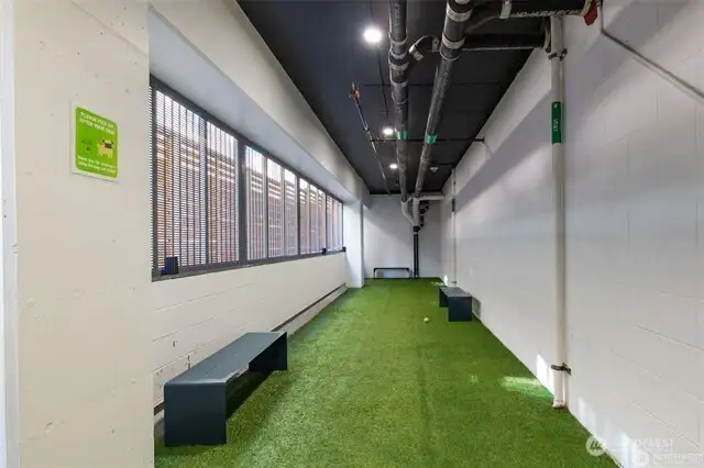 Pet Lounge