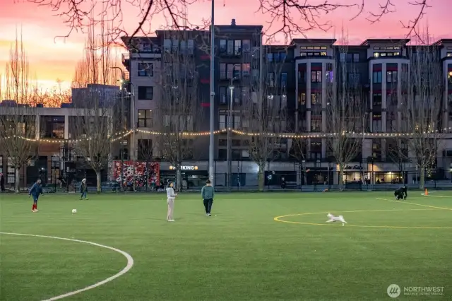 Nearby Cal Anderson Park
