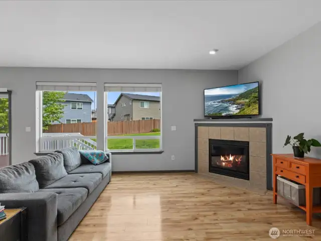 Natural gas fireplace.