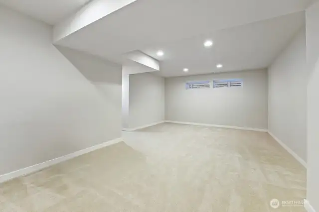 Lower-level Large Recreation Room with Storage Closets