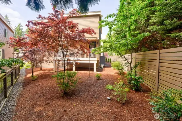 Easy Maintenance Landscaped Yard