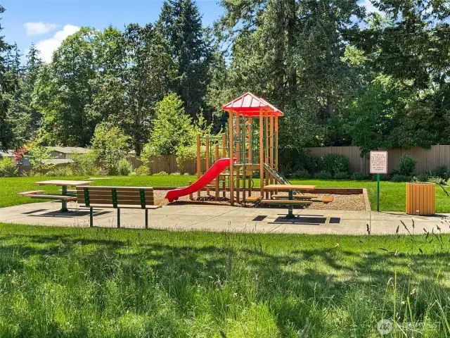 Community Park!