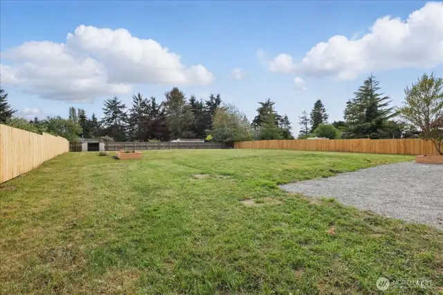Flat Backyard