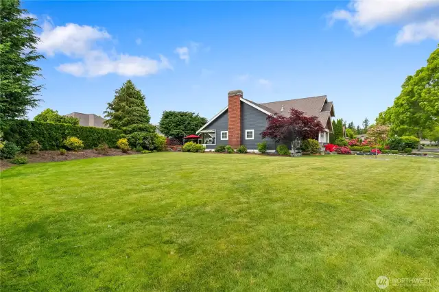 Spacious and flat side yard