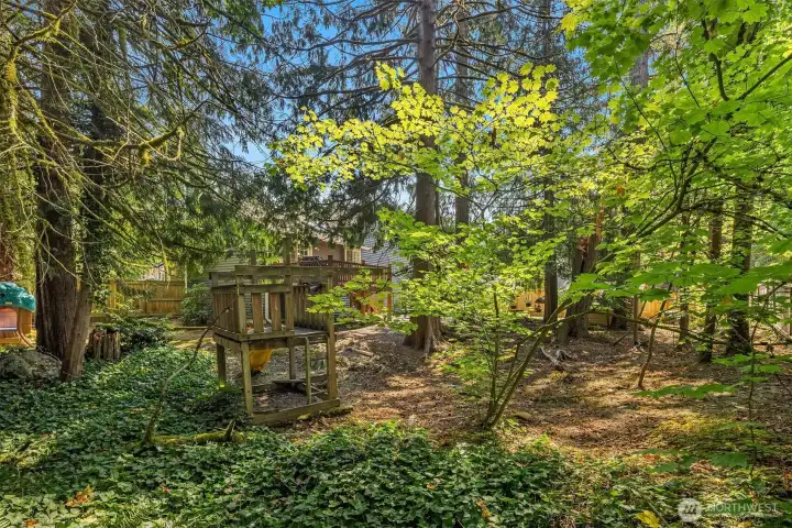 Mature trees in this fully fenced backyard with two gates.