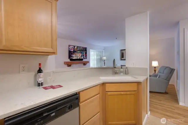 Kitchen looking out into the living room