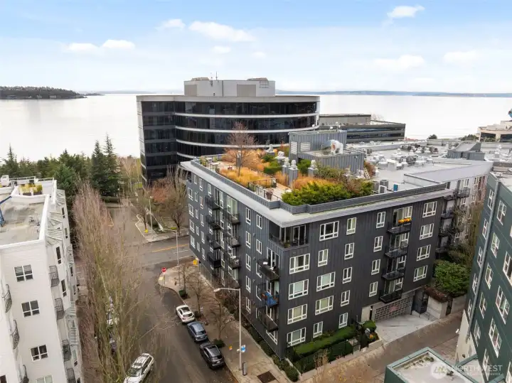 Welcome To Trio View Condominium Seattle