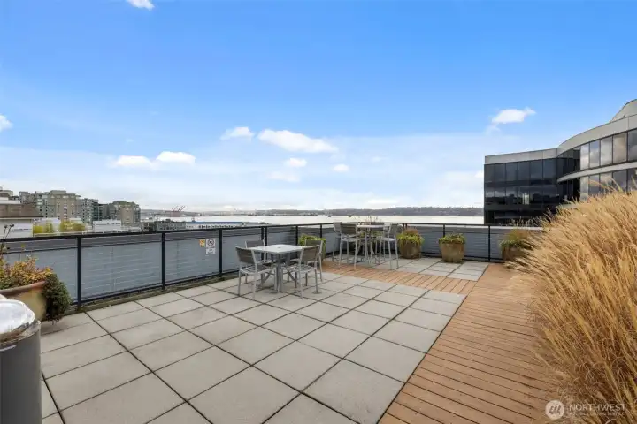 Amazing Space Needle, City, Sound and Mountain views from the roof top entertainment area.