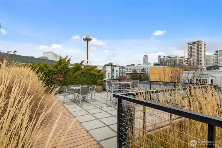 Amazing Space Needle, City, Sound and Mountain views from the roof top entertainment area.