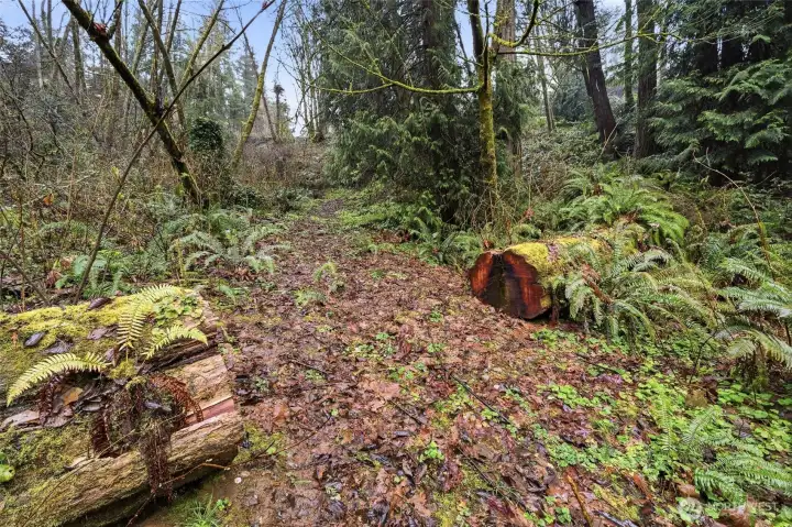 Combination of open grassy space and wooded area, offering a diverse and usable landscape.