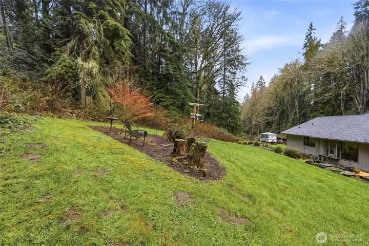 Large backyard showing RV Parking