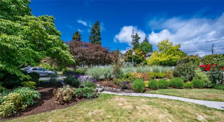 Beautifully Landscaped Front Yard Beautifully Landscaped Front Yard