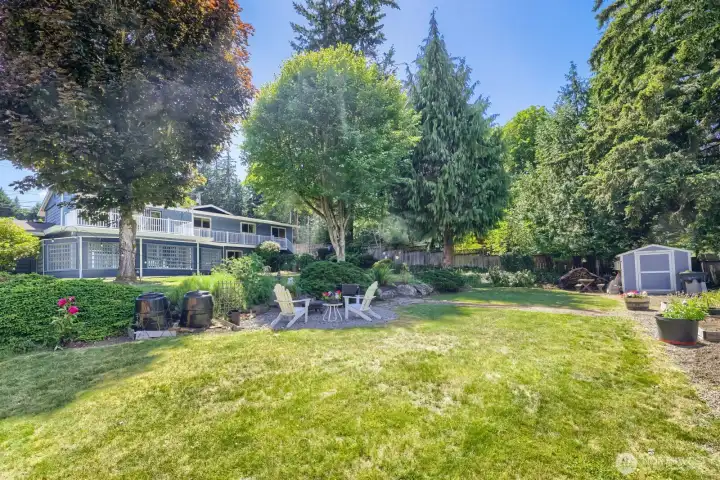 Large back yard