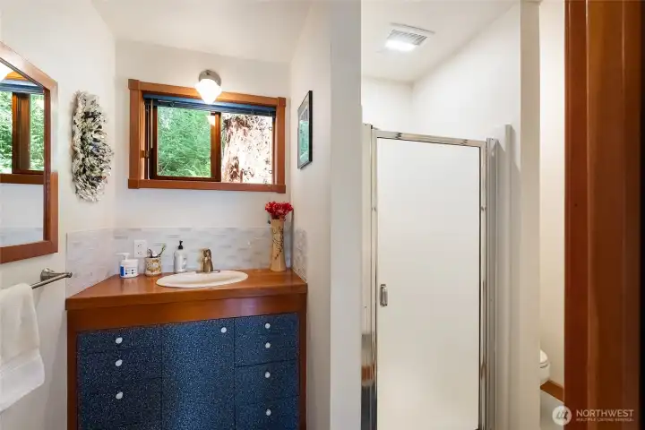 Main level 3/4 bathroom Main level 3/4 bathroom