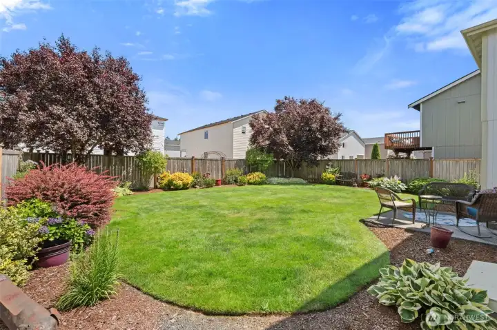 Look at this yard!!!! Look at this yard!!!!