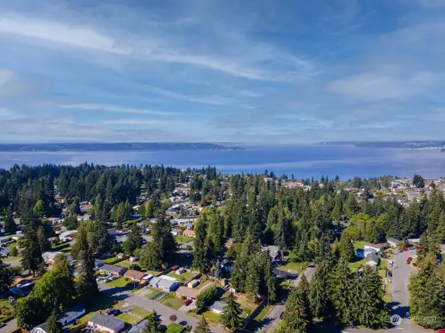 Overlooking the Sound at Dash Point