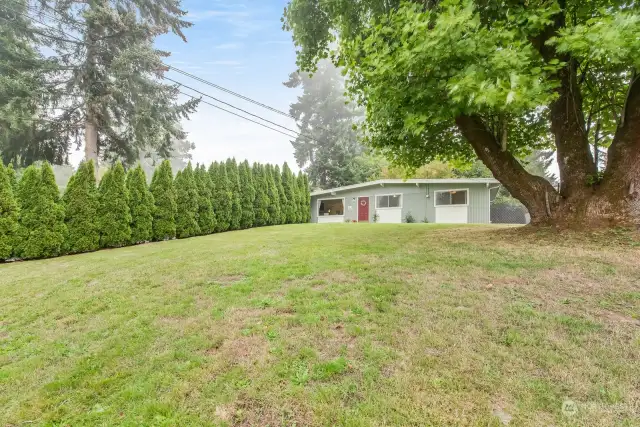 Large fully fenced front yard.