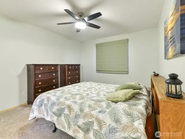 Large primary Fan/light with remotes.