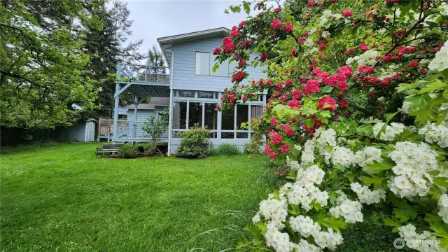 Eastern side of the home.  Lovely Hawthorne in full bloom.
