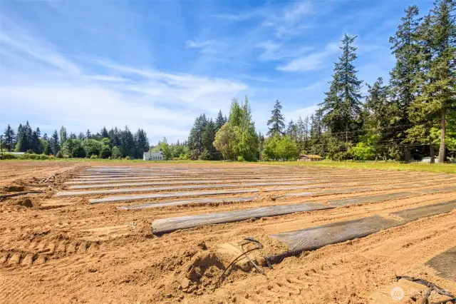 2025 crop has been planted