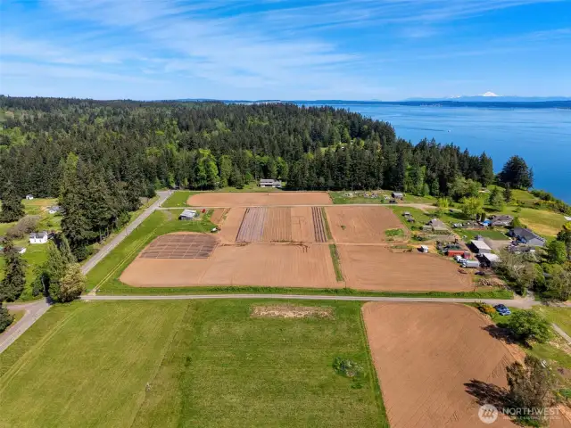 Looking north towards Whidbey Island