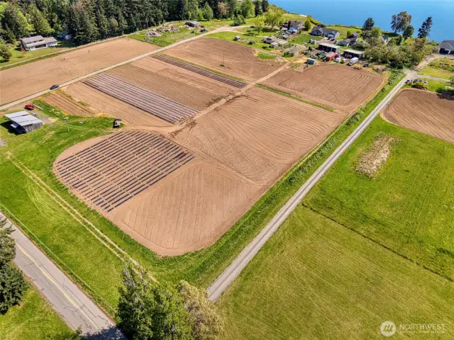 Showing 10 acres cultivated