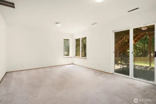 Lower level bonus room with sliders to patio and yard