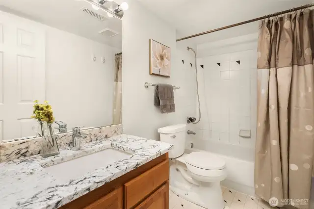 Lower level full bath
