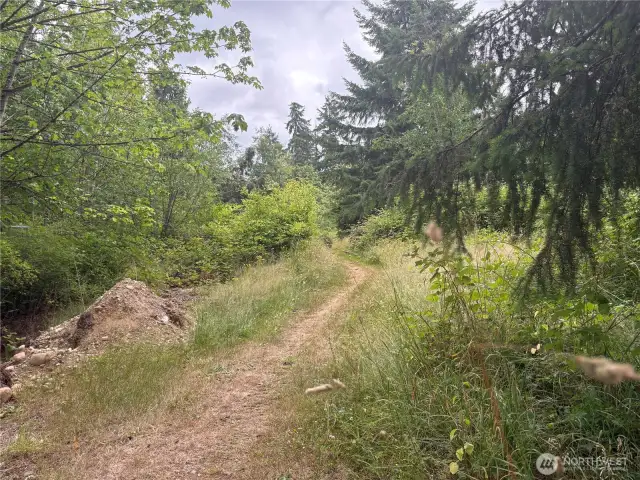 Trail behind the gate