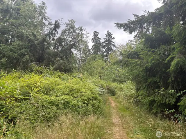 Trail behind the gate
