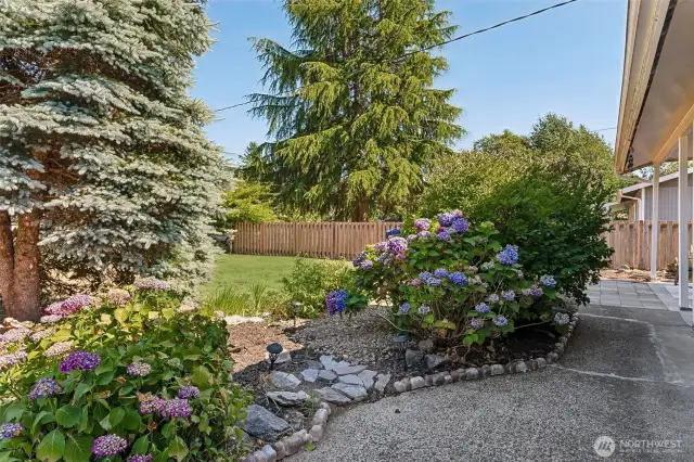 Nicely landscaped front yard.