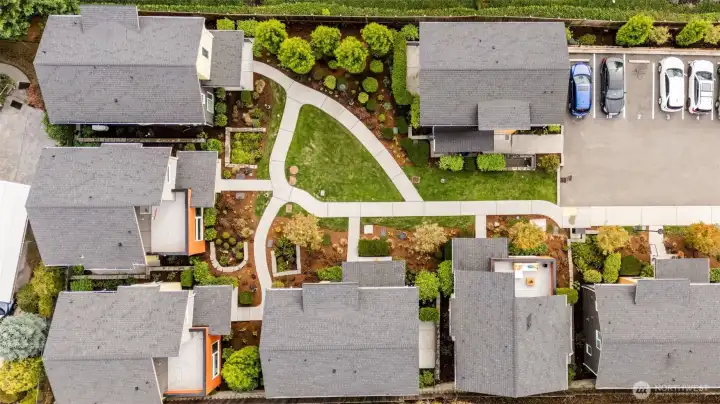 Rainier View Homes connected by a village green