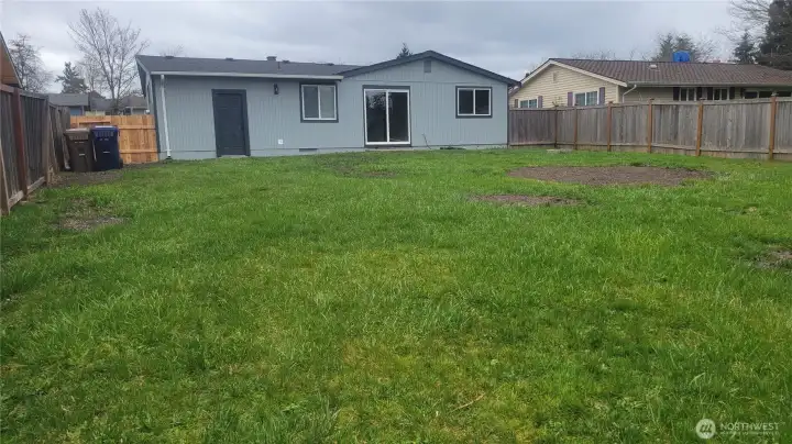 Rear Yard