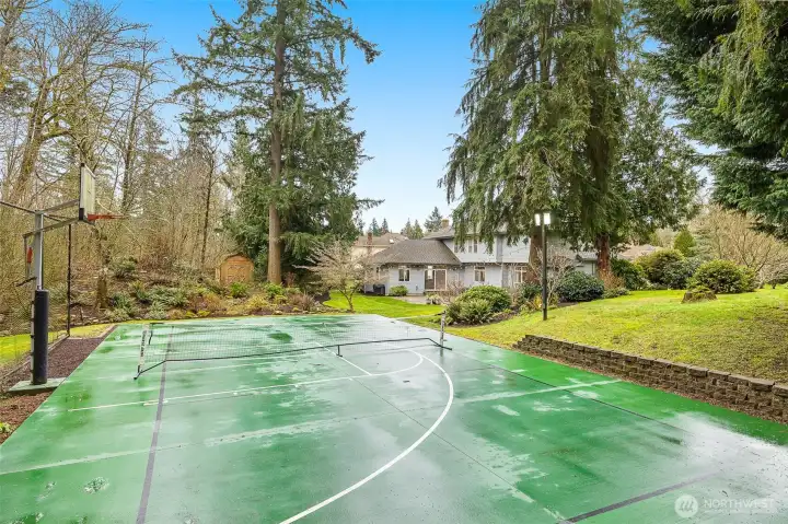 Private backyard with 50' x 30' athletic court set up for pickleball, basketball, and more!