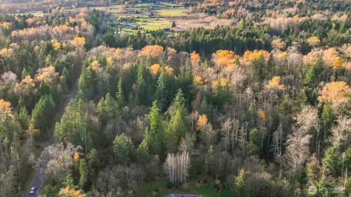 Aerial view of the property and surrounding area