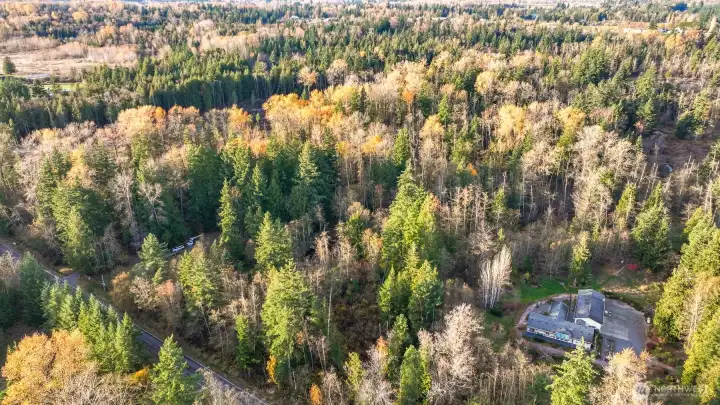 Bird’s-eye view showing the lot and nearby features