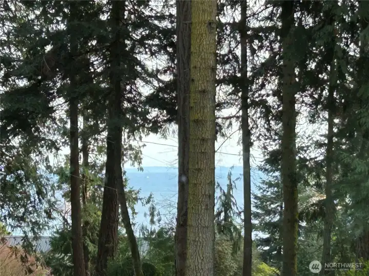 From your front living room window, peek at the Puget Sound & Cascade Mountains