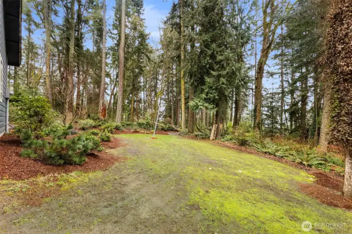 So much space, and more available to clear and use.