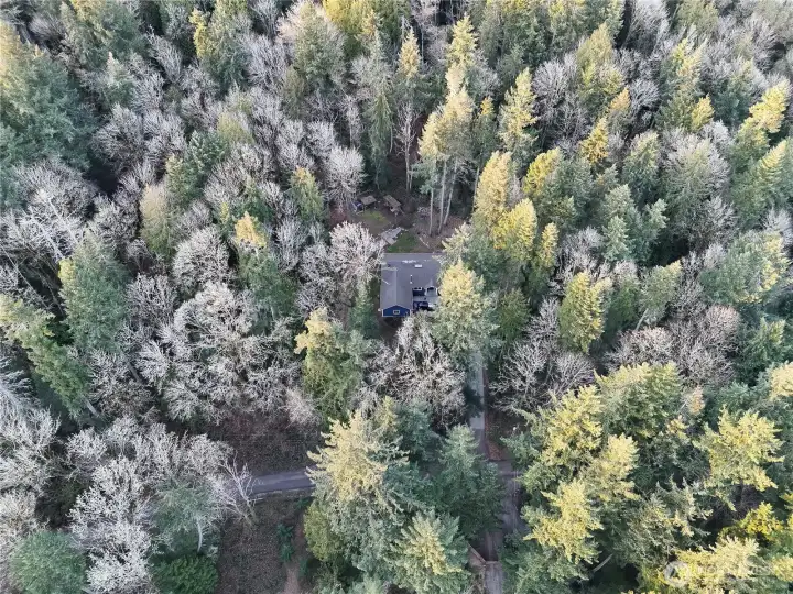 Tucked in the trees at the top of the drive.