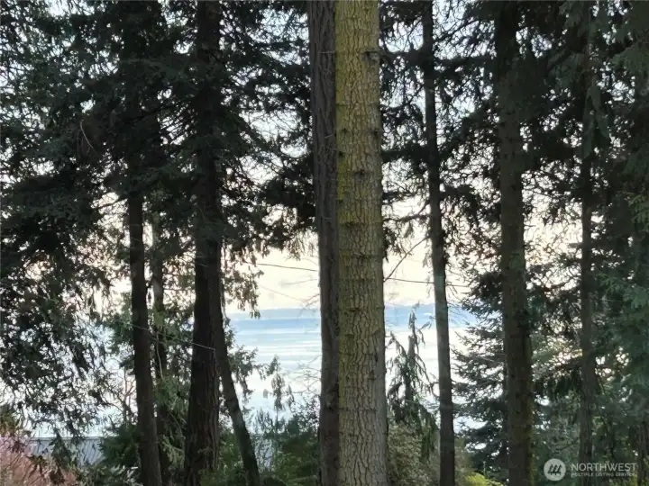 It's a beautiful spot to take in the best of the PNW.