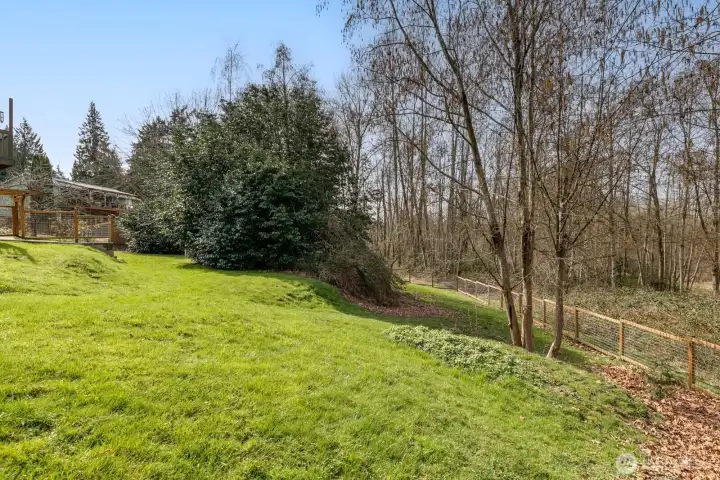 Backyard side yard view