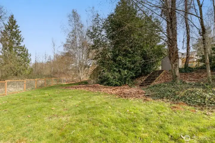 View from lower level in the backyard