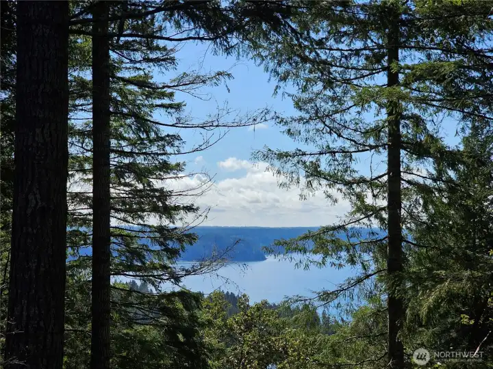 Four home sites, each with an incredible view. With a little clearing, from the top homesite, I believe that you could get a 180 degree view of the mountains and water.