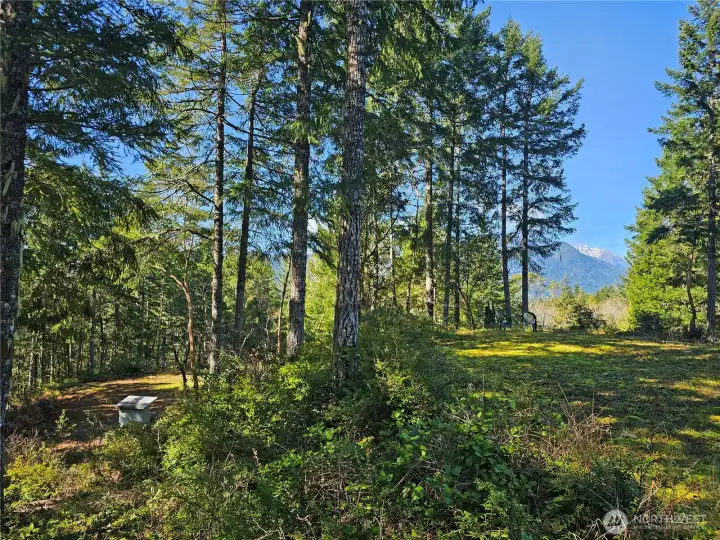 Looking down towards the middle home site from above. That's the housing for the well pump electronics you can see on the left. Mountain view through the trees to the right.