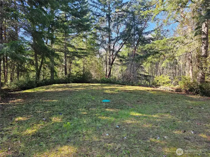 Drain field for the lower homesite. Rout your septic downhill from any of the upper home sites for easy gravity flow.