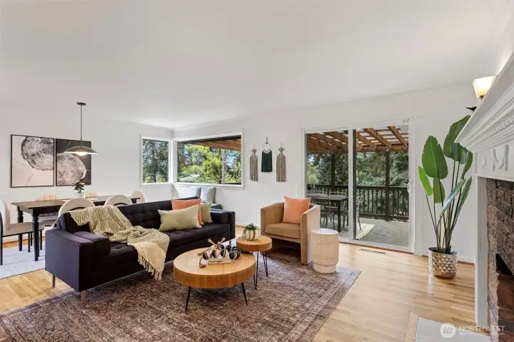Light filled living room