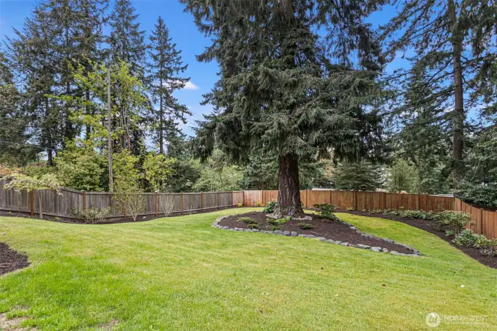 Fully fenced, expansive yard