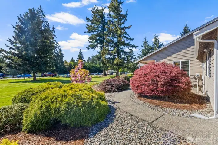 Custom landscpaing including Mops, Maples, and all so easy to maintain!