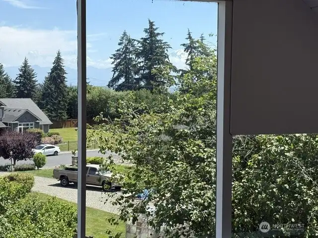 Views on Mt Rainer