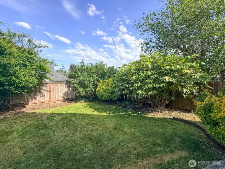 Garden view from lower level basement floor